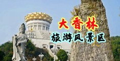 操哭你小骚逼网站中国浙江-绍兴大香林旅游风景区